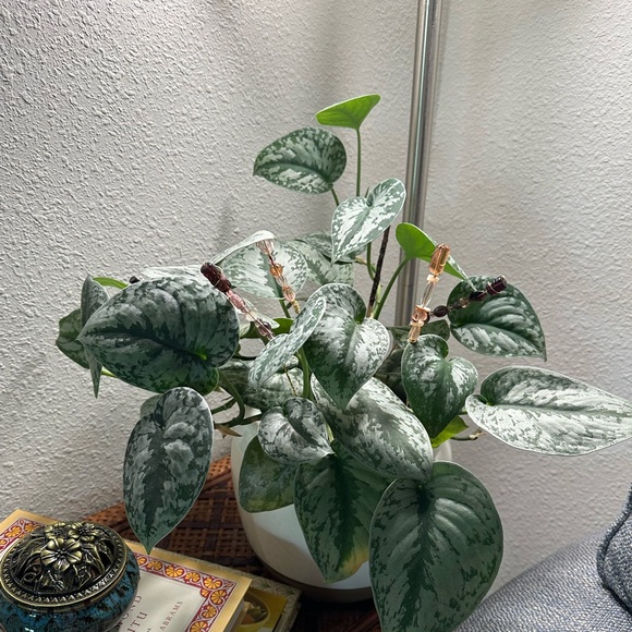 4 Plants Decorations. Beads Plants Unique Decorations. Handmade. Order your set! - Picture 4 of 13